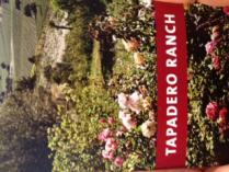 Tapadero Ranch  - Extra Virgin Olive Oil