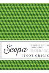 Scopa -  Pinot Grigio 2022